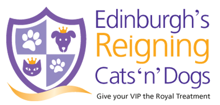 Edinburgh Reigning Cats and Dogs